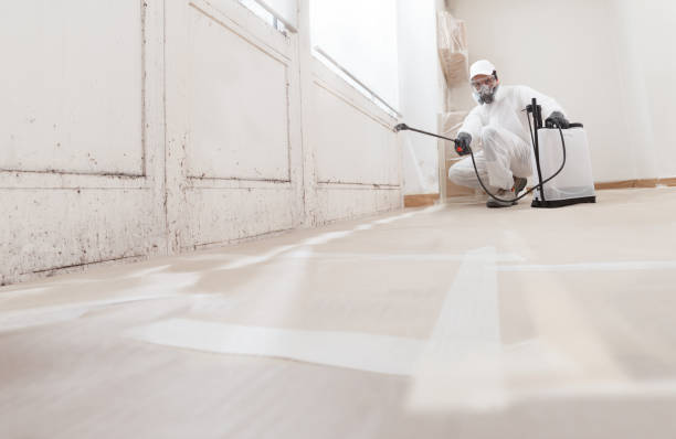 24/7 Emergency Basement Mold Removal experts in Garrett, WA