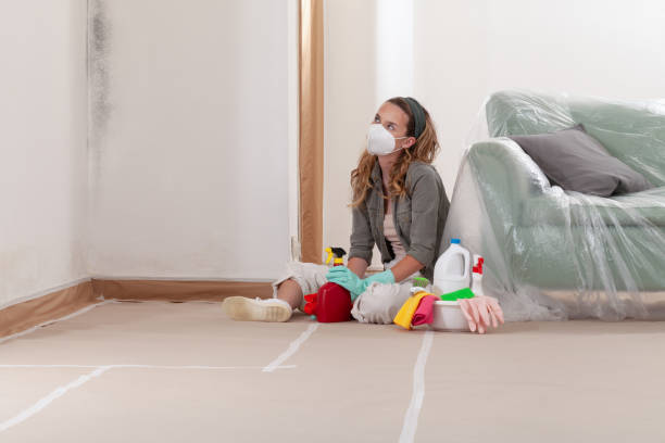 Reliable Basement Mold Removal contractor in Garrett, WA by Cheap Mold Removal